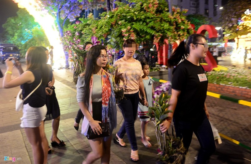 Anh: Vuot rao vao “mot” hoa o duong hoa Nguyen Hue dem be mac-Hinh-11